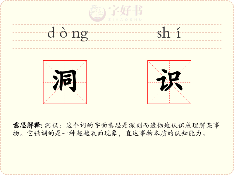 洞识
