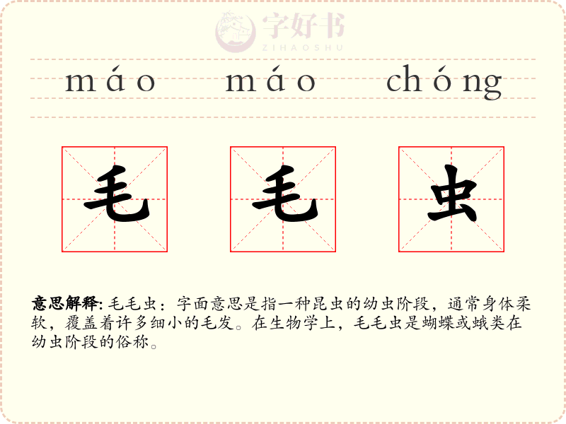 毛毛虫