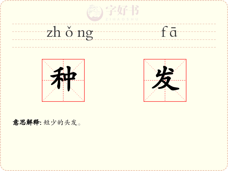 种发
