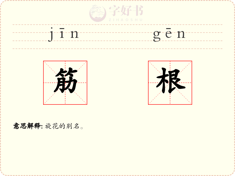 筋根