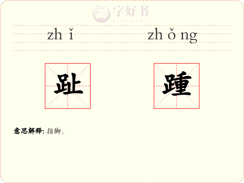 趾踵