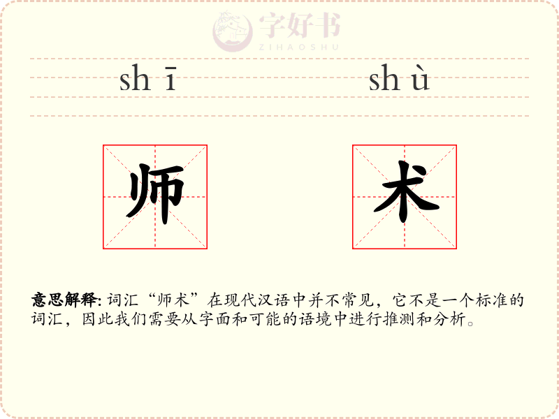 师术
