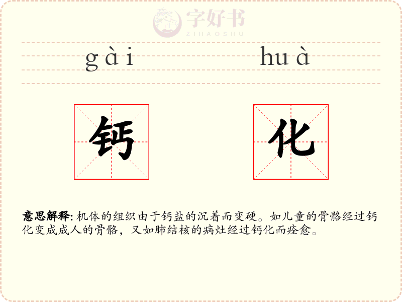 钙化