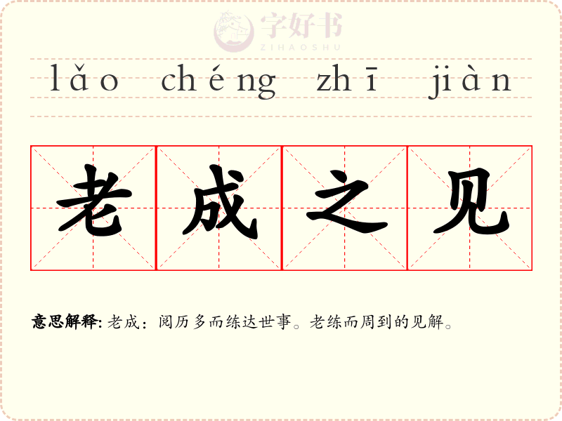 老成之见