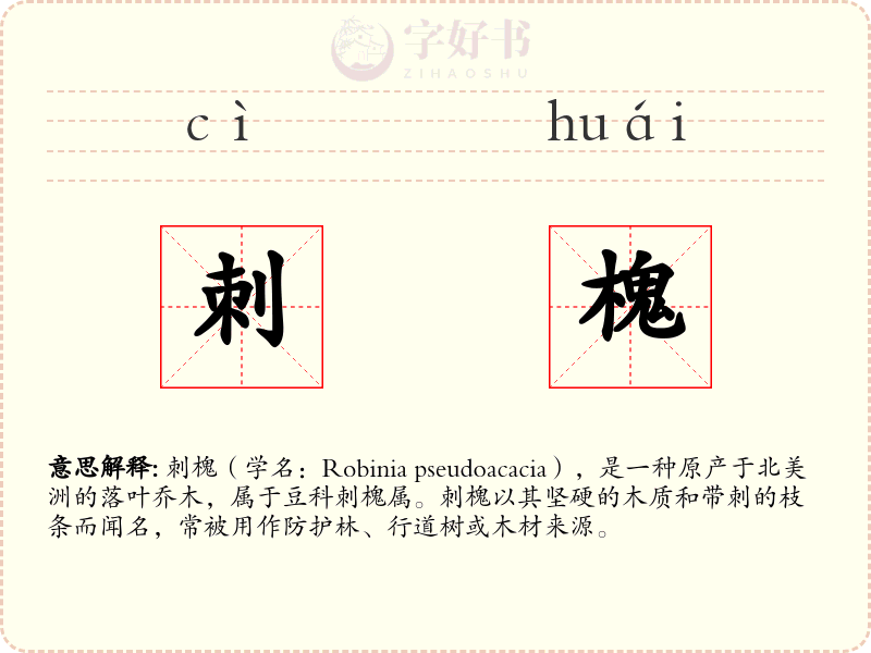 刺槐