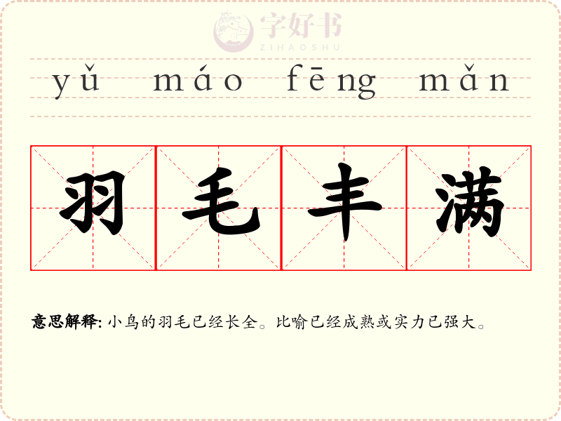 羽毛丰满