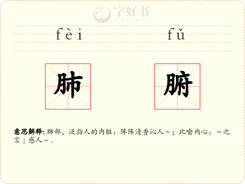 肺腑