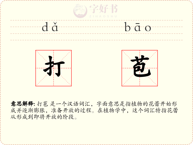打苞
