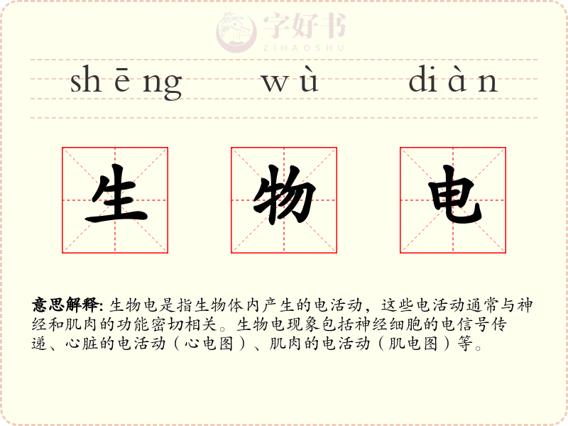 生物电