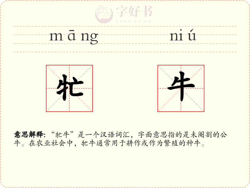 牤牛