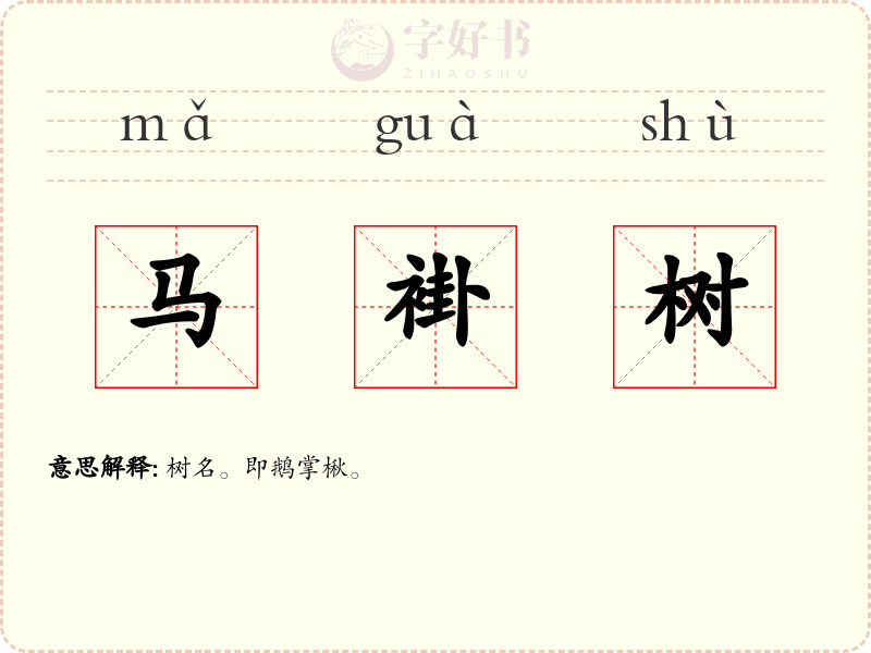 马褂树
