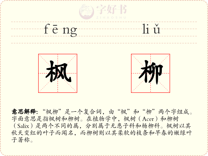 枫柳