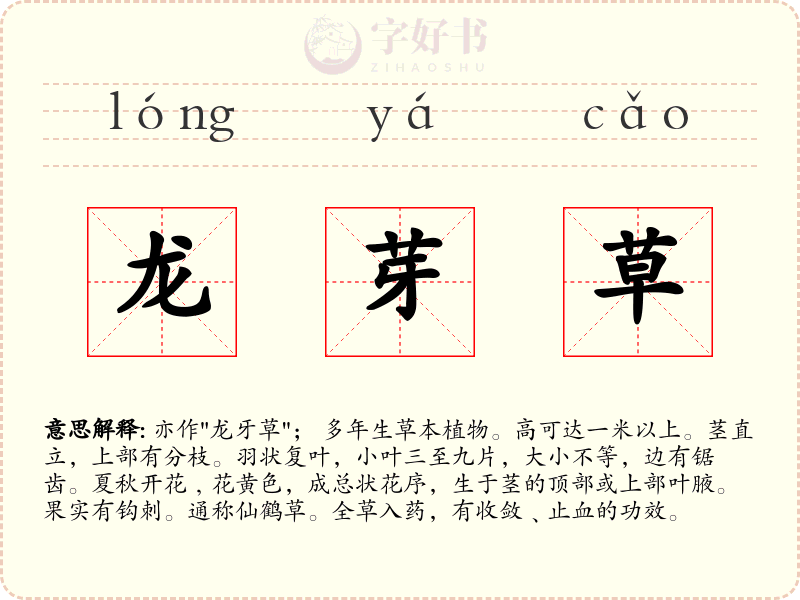 龙芽草