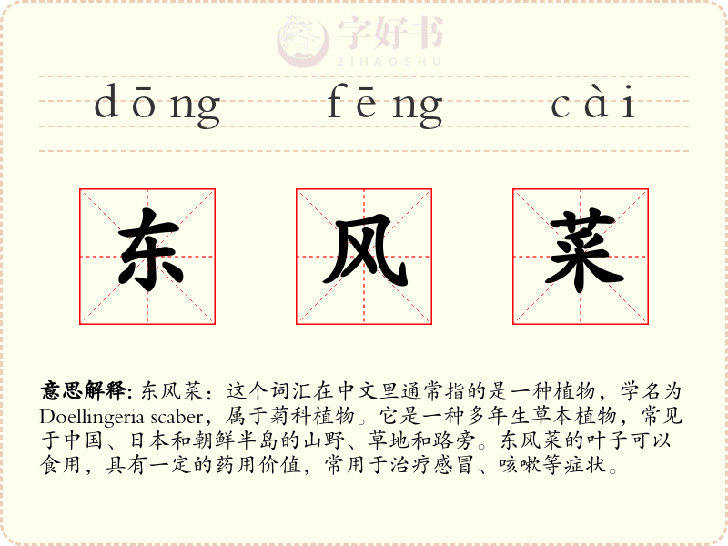东风菜