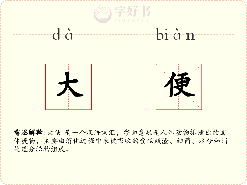 大便