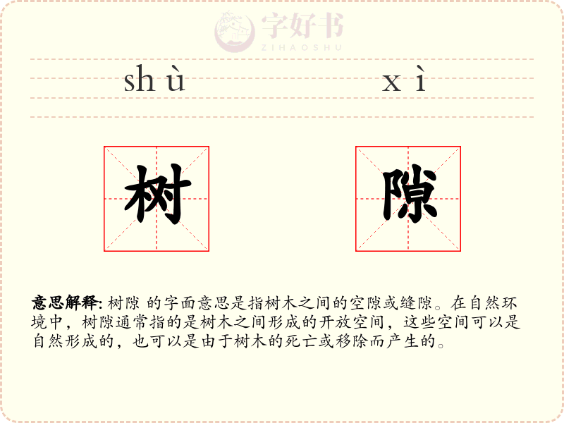 树隙