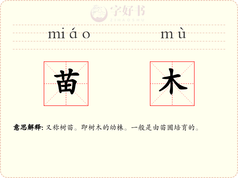 苗木