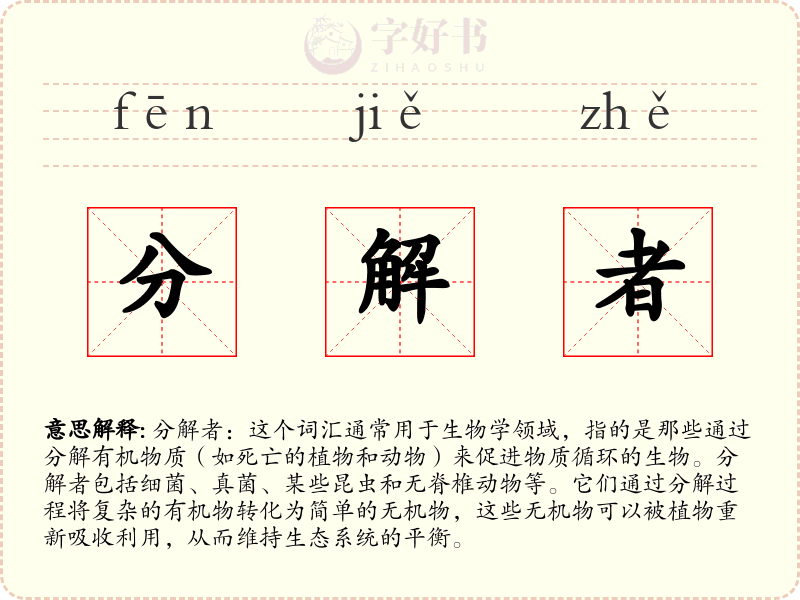 分解者