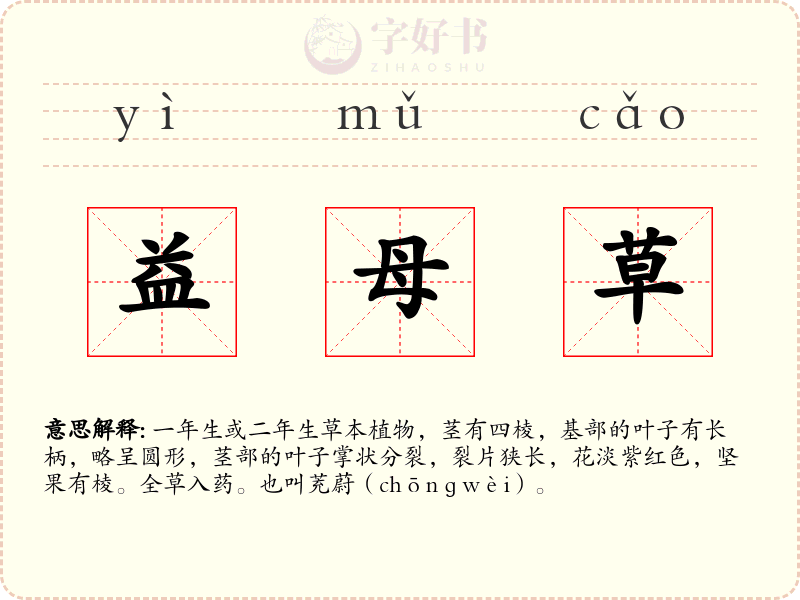 益母草