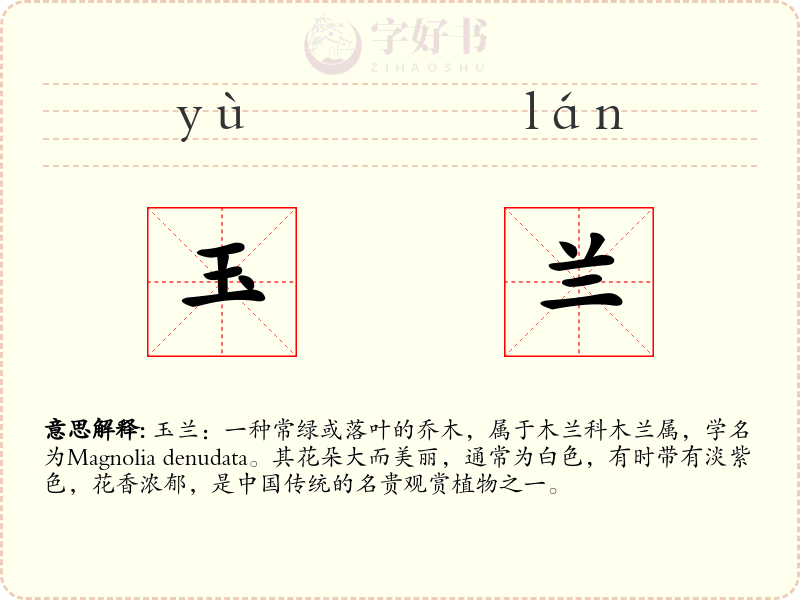 玉兰