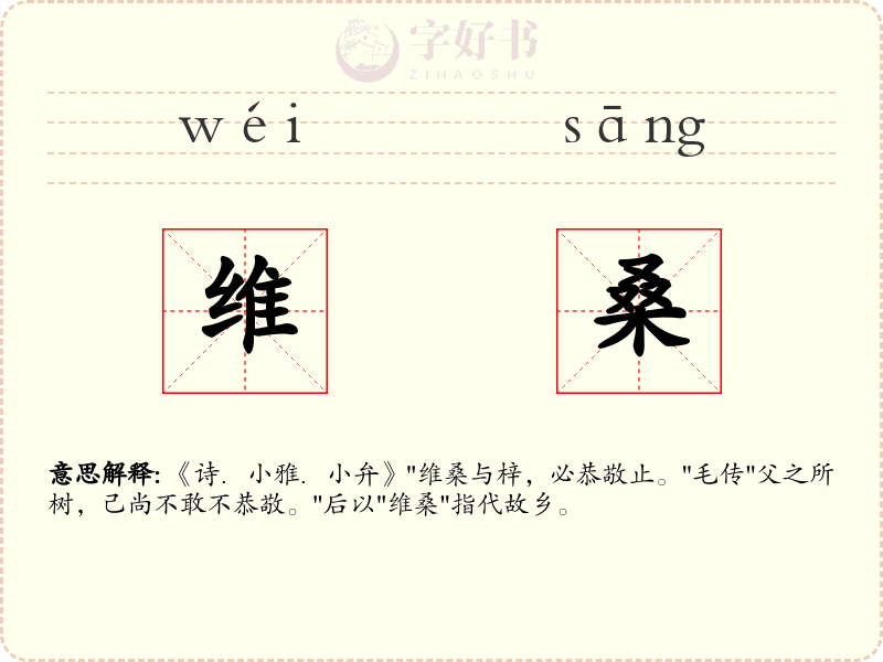 维桑