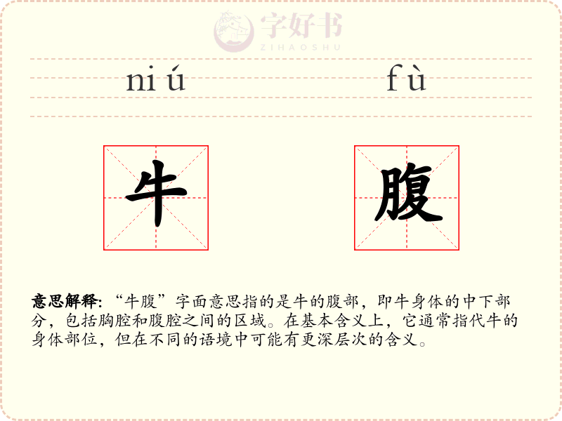 牛腹