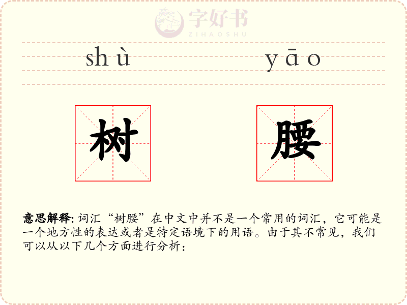 树腰