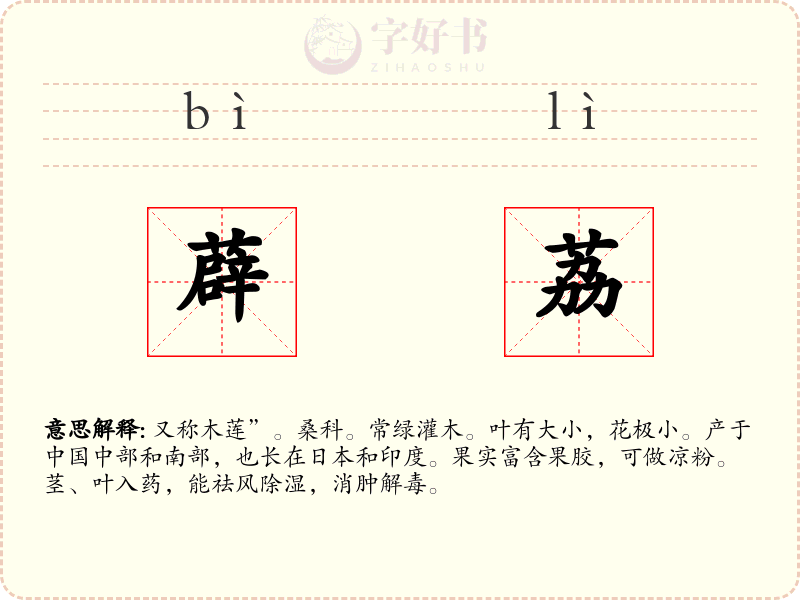 薜荔