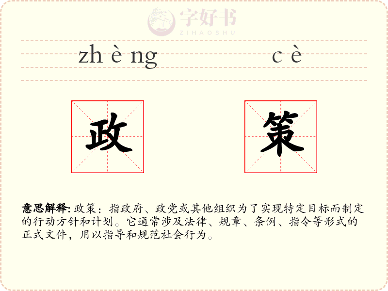政策