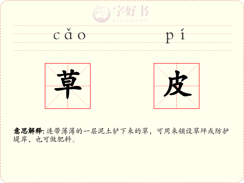 草皮