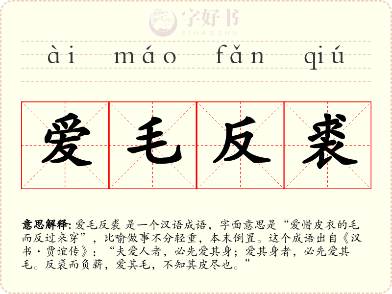 爱毛反裘