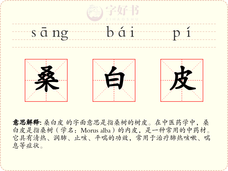 桑白皮