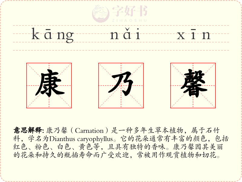 康乃馨