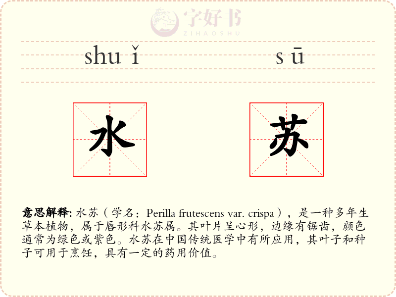 水苏