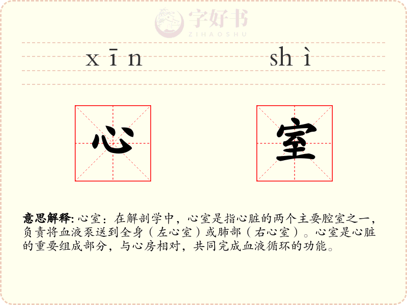 心室