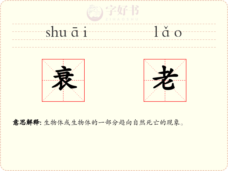 衰老