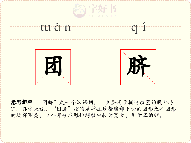 团脐