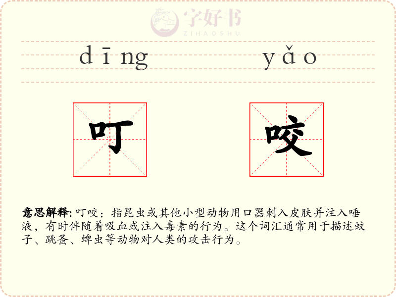 叮咬