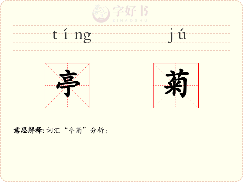 亭菊
