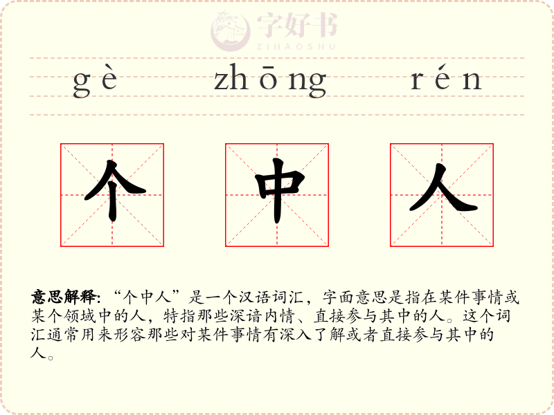 个中人