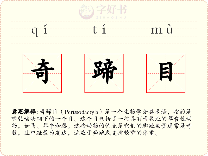 奇蹄目