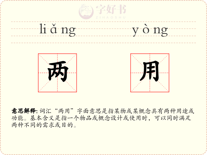 两用