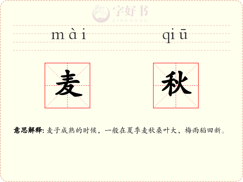 麦秋