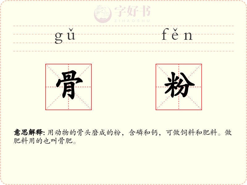 骨粉