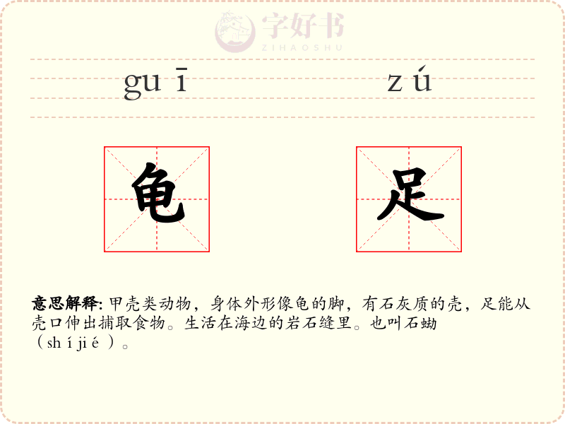 龟足