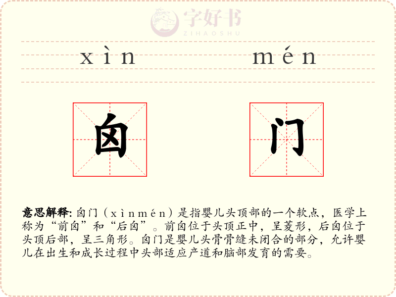 囟门