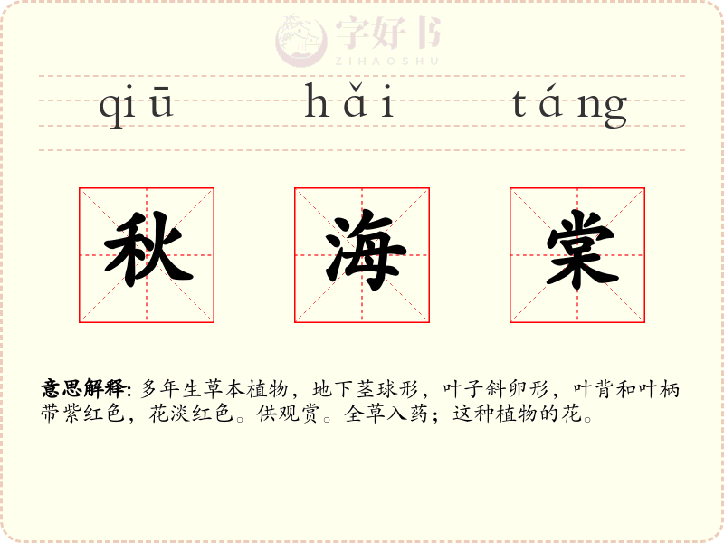 秋海棠