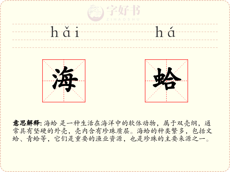 海蛤