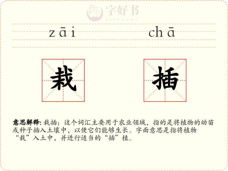 栽插