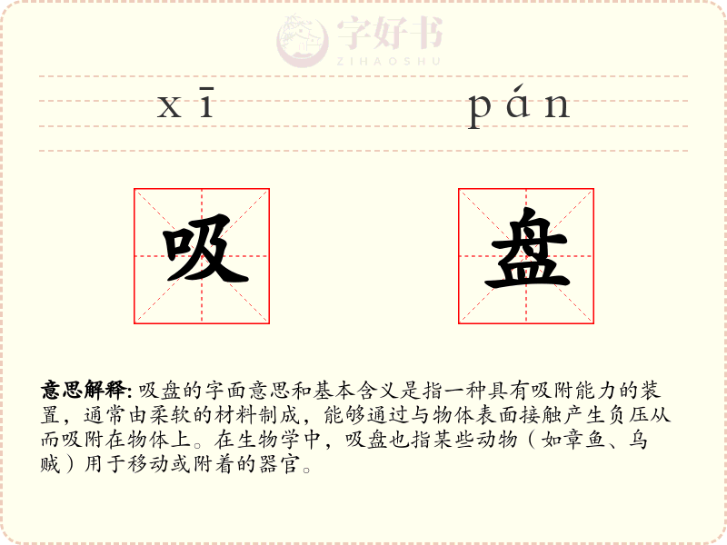 吸盘
